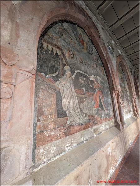 PXL_20250508_083926987.NIGHT