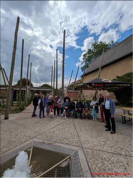 PXL_20250508_131908190.MP