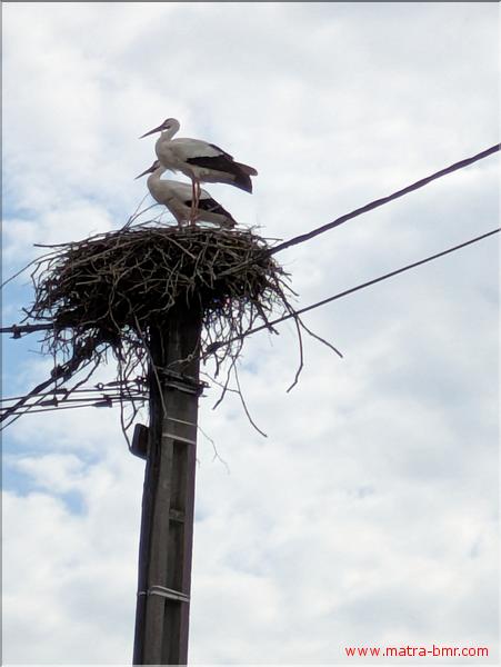 PXL_20250508_144952419