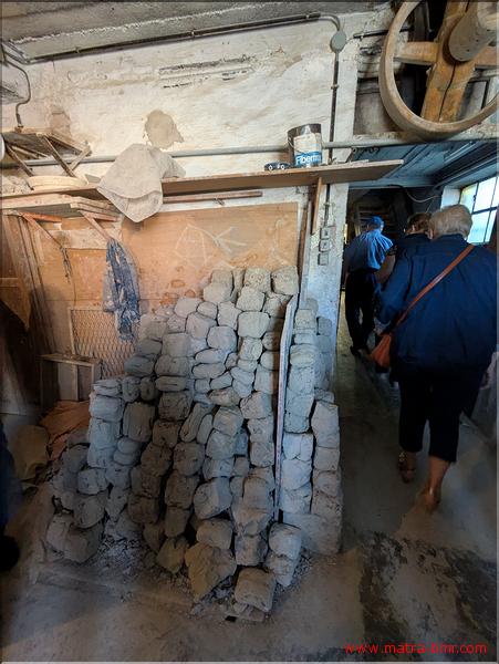 PXL_20250511_083106030